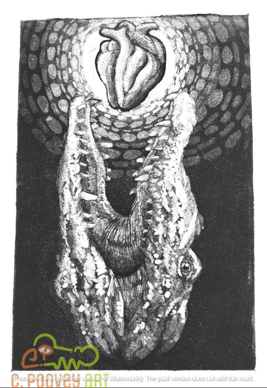 Concious Crocodylus