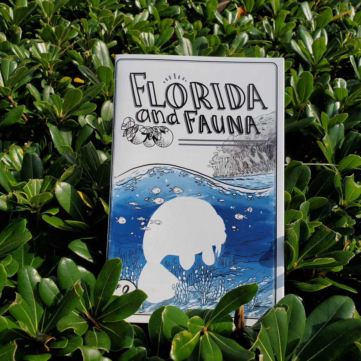 Florida & Fauna #2 (Manatee Mayhem)