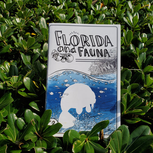 Florida & Fauna #2 (Manatee Mayhem)