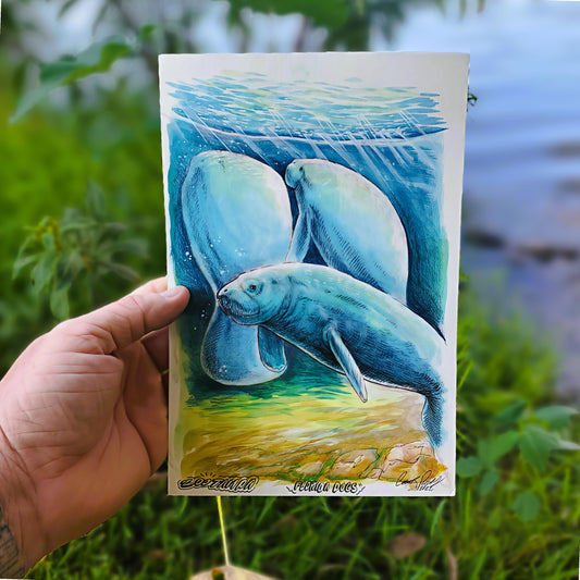 Watercolor Manatee