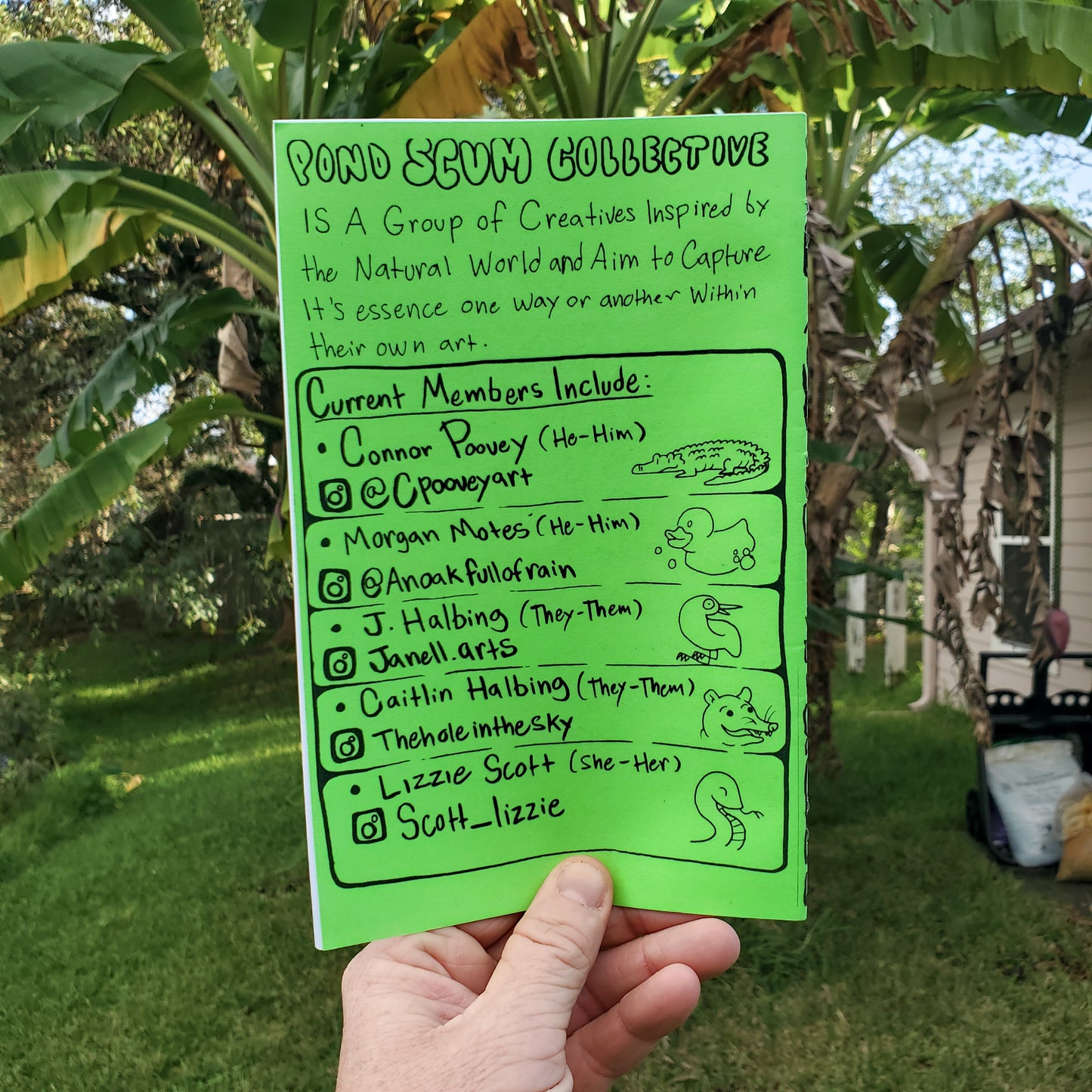 🐊🌺Florida & Fauna Zine #1