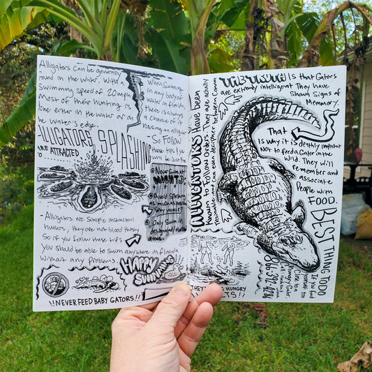🐊🌺Florida & Fauna Zine #1
