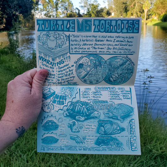 Florida & Fauna #3 (turtles)