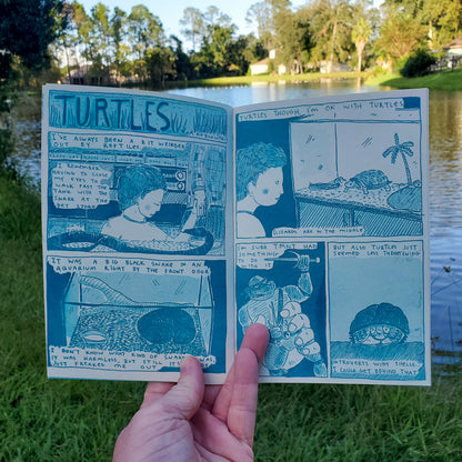 Florida & Fauna #3 (turtles)