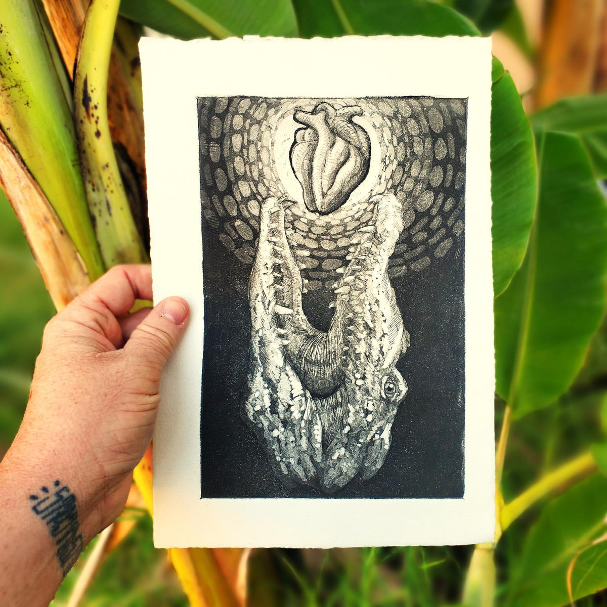 Concious Crocodylus