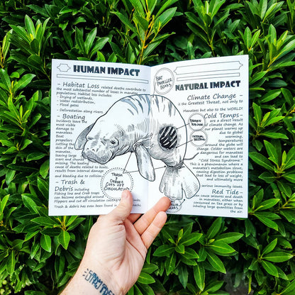 Florida & Fauna #2 (Manatee Mayhem)